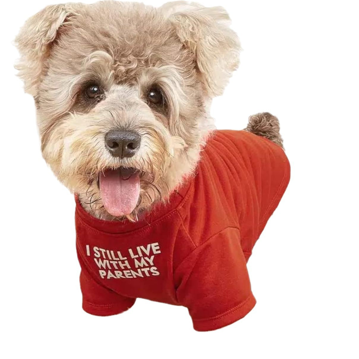 Round Neck Pet T Shirt Clothing Apparel