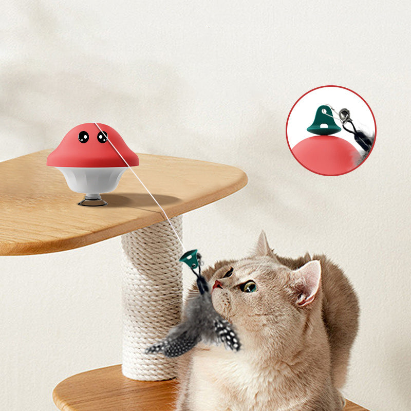 Suction Cup Pet Wand Interactive Exercise Toy