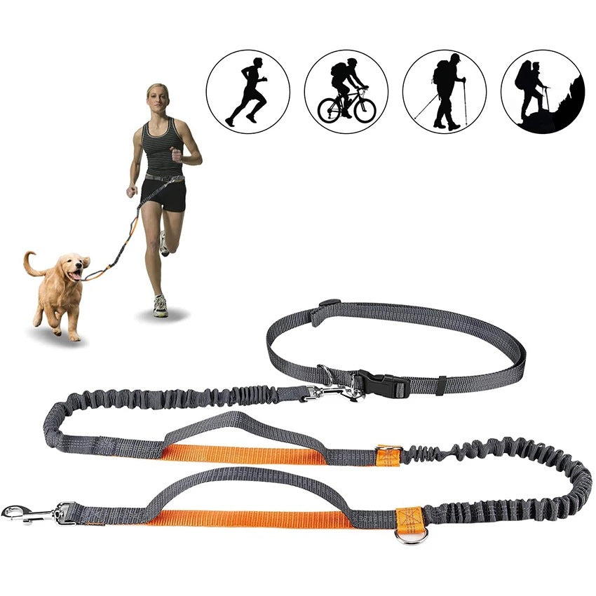 Pet Adjustable Jogging Harness Collar Leash Set