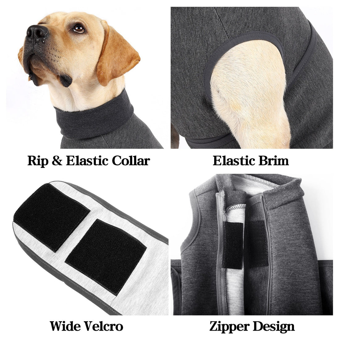 Emotional Comfort Polyester Cotton Pet Double Jacket Clothing