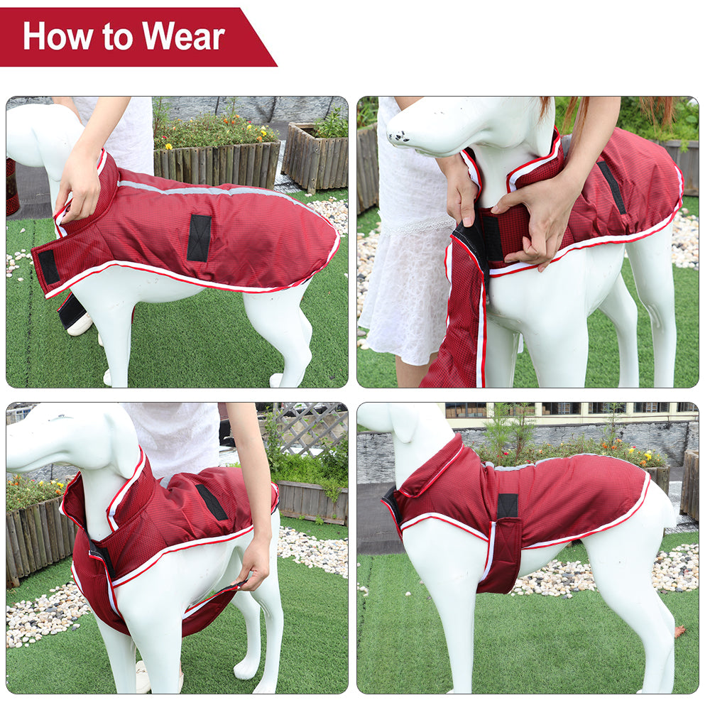 Autumn Winter Warm Pet Waterproof Leisure Jacket Apparel