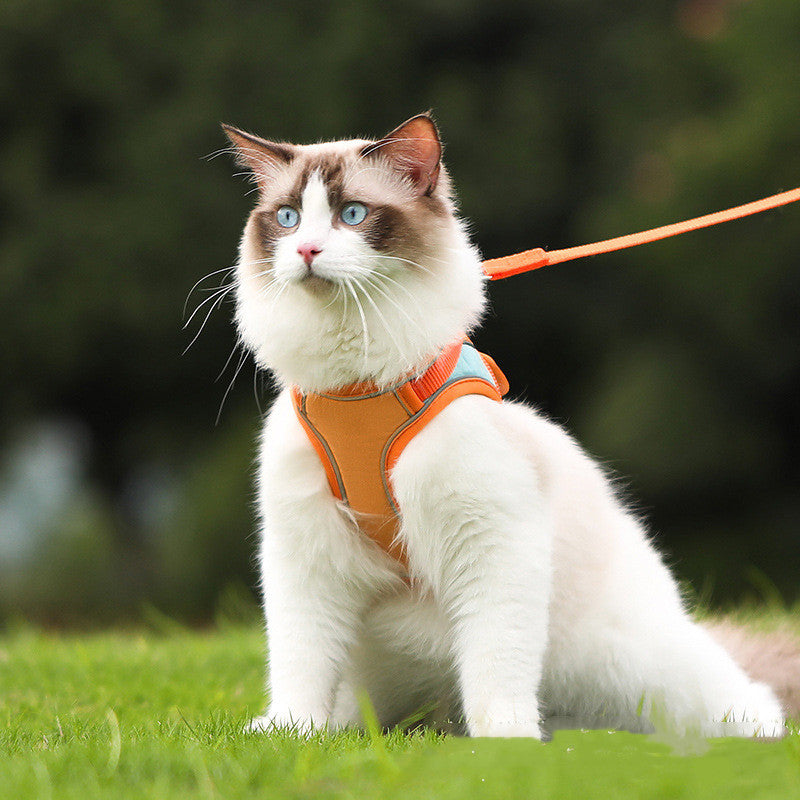 Pet Anti Escape Reflective Harness Leash