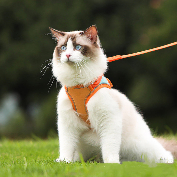 Pet Anti Escape Reflective Harness Leash