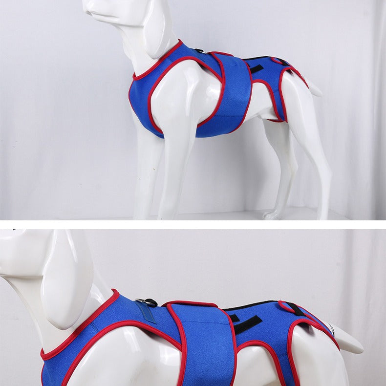 Spine Support Pet Posture Corrective Jacket Apparel