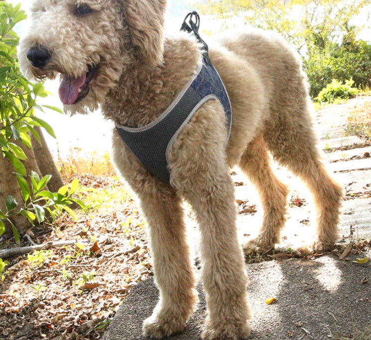 Pet Bullfight Style Vest Harness Leash