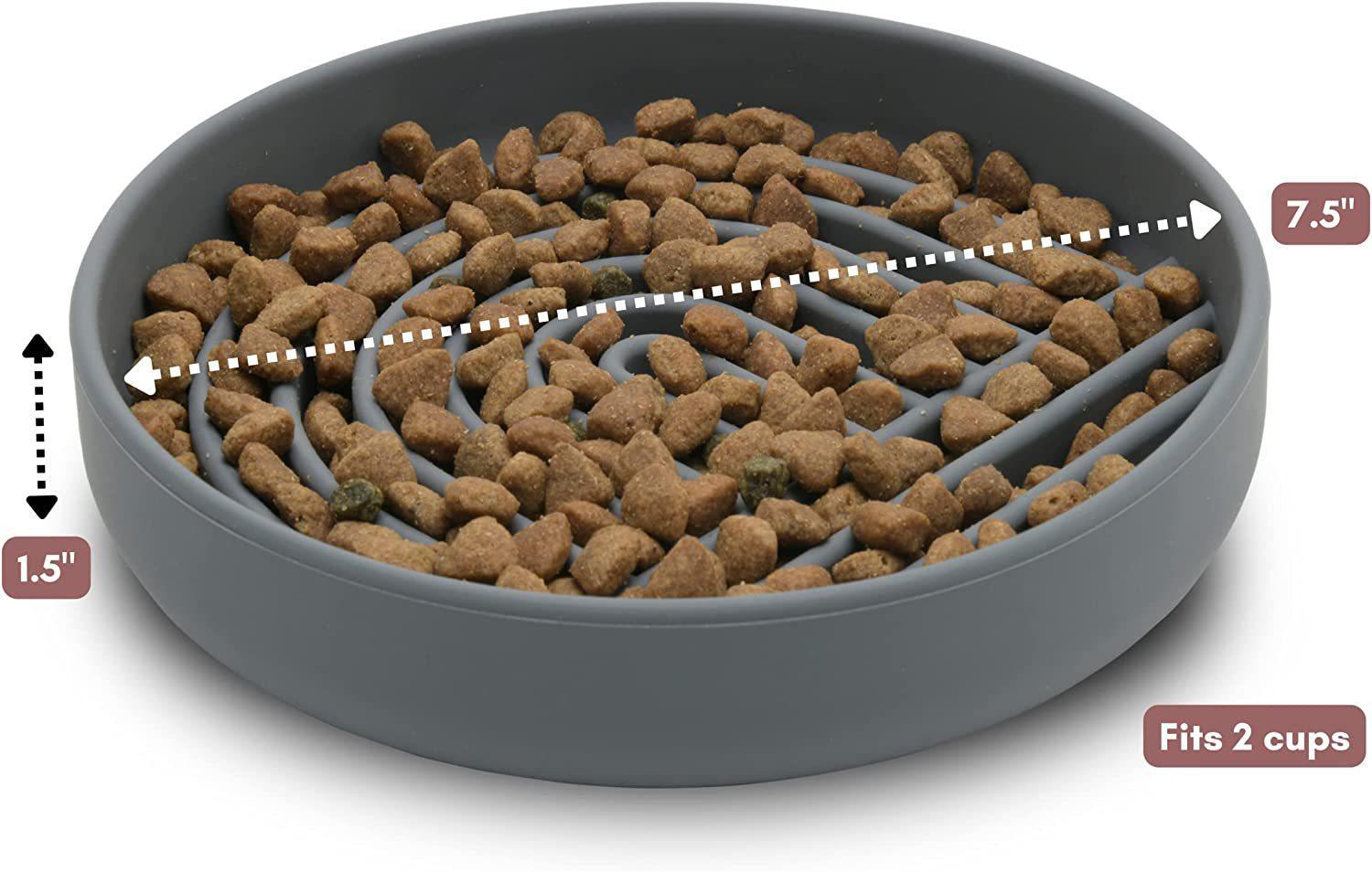 Pet Simple Fashion Slow Feeding Anti Choking Bowl